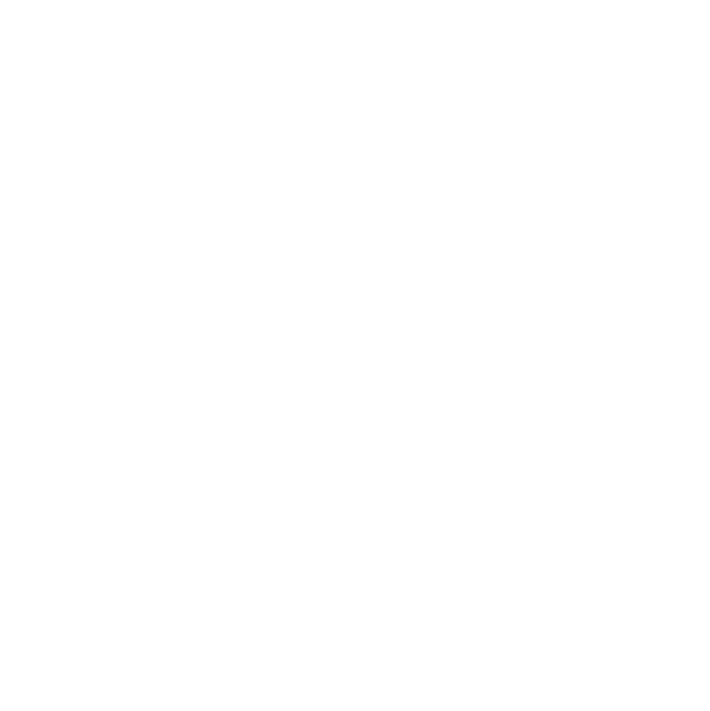 Solution Partners